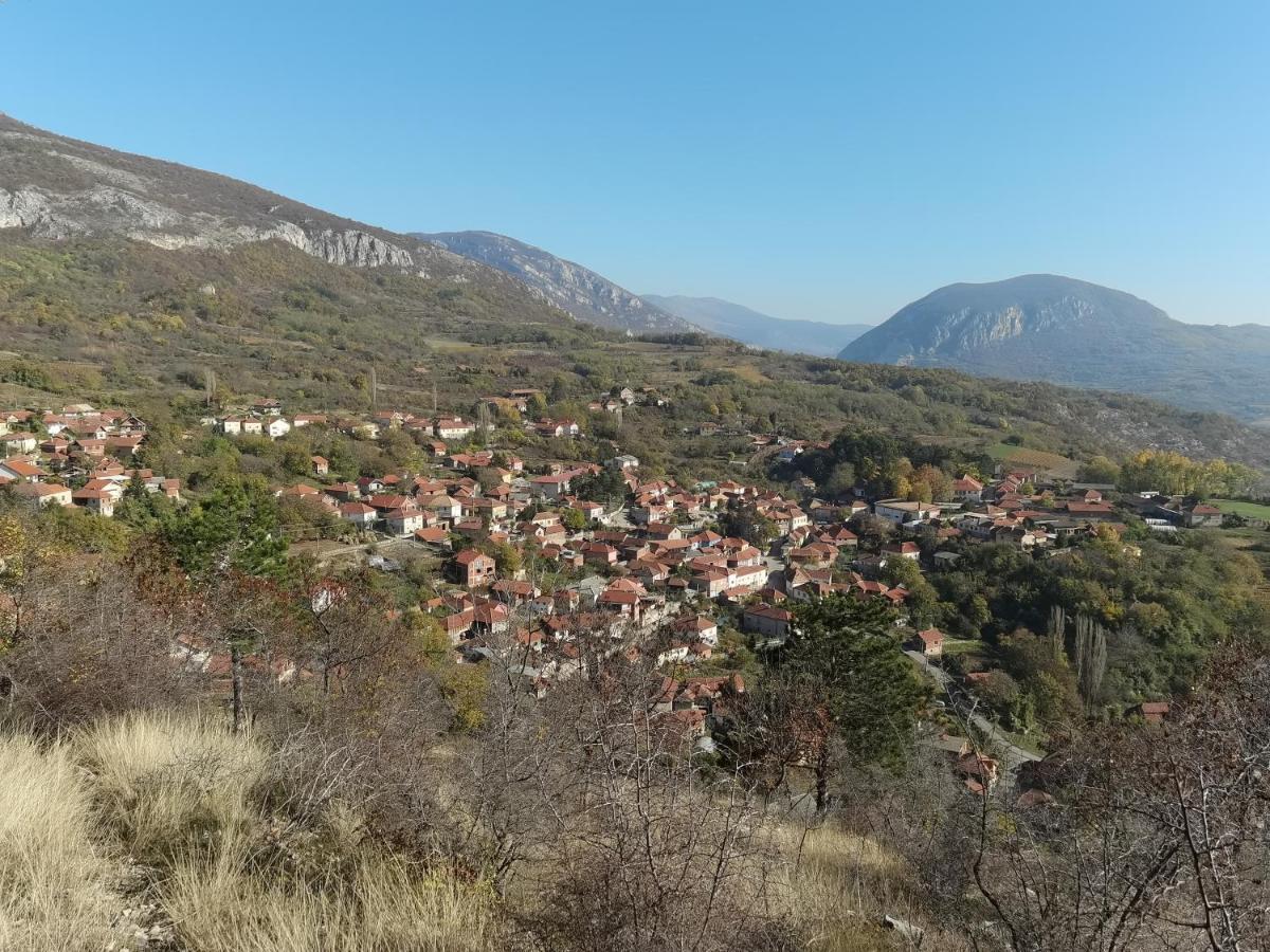 Konak -Guest House -Ramonda Serbika Ni 외부 사진